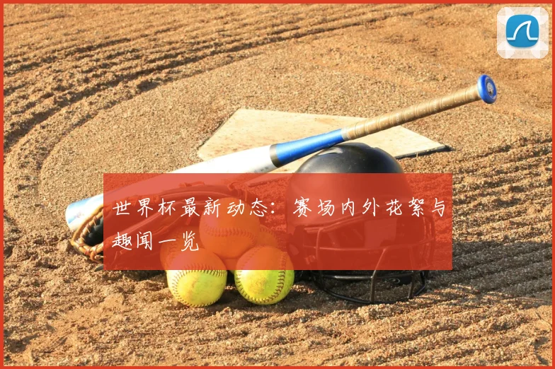 世界杯最新动态:赛场内外花絮与趣闻一览